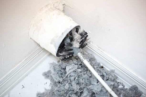 Best HVAC Air Duct Cleaning  in Florence, SC